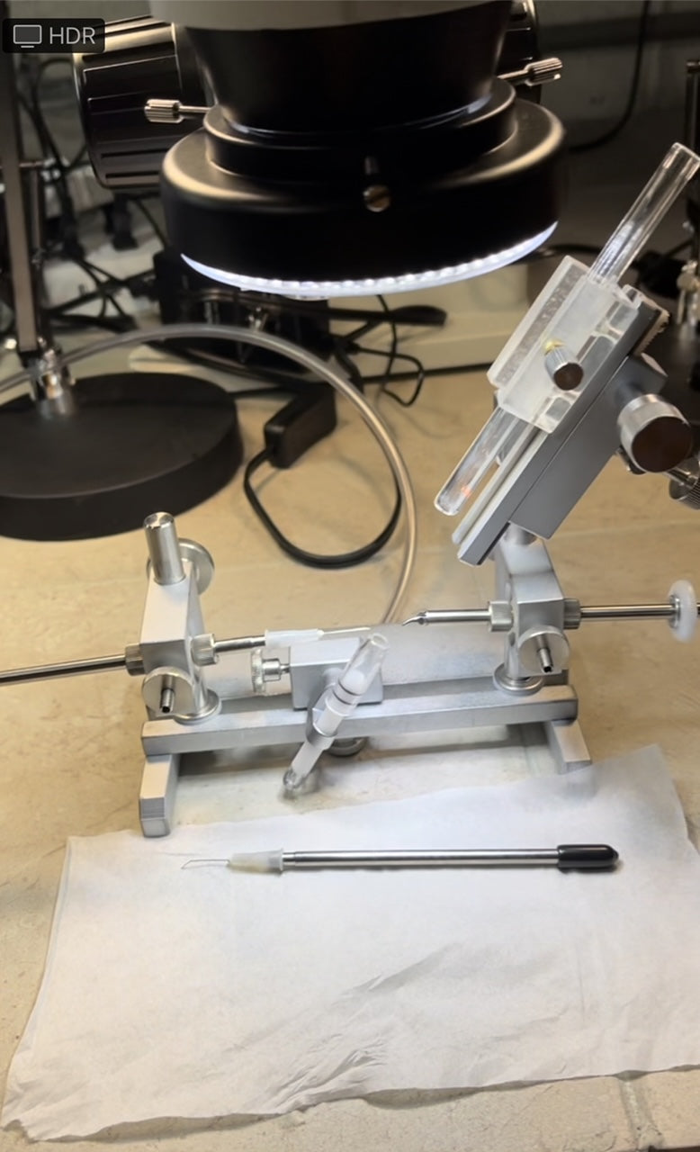 Instrumental Insemination Services – TBD