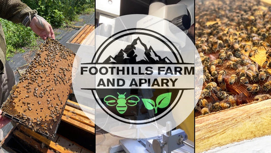 Advanced Queen Rearing & Cell Builder Workshop